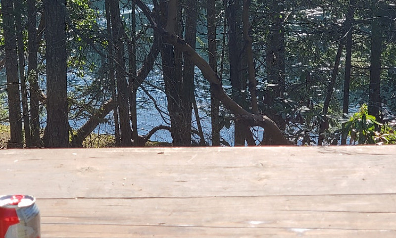 Waterfront Property ...