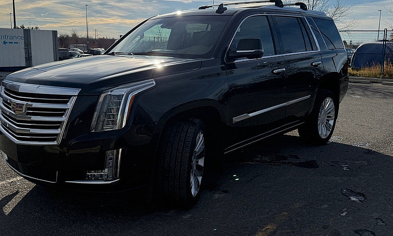 2019 Cadillac Escala...