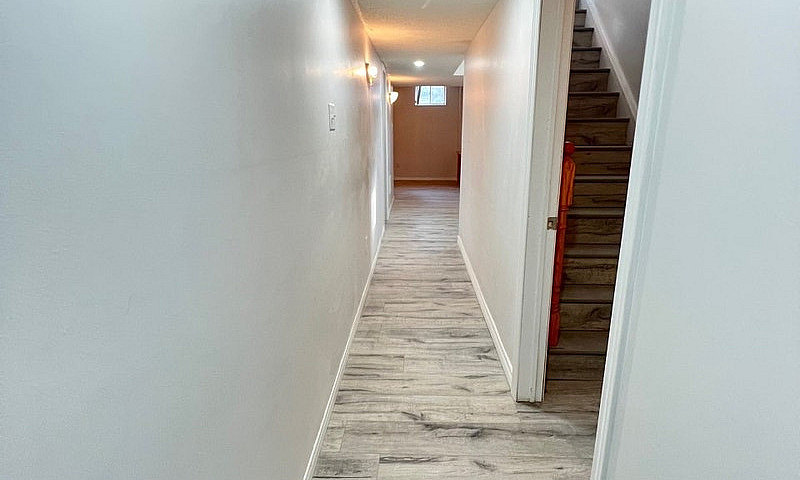 1 Bedroom Basement F...