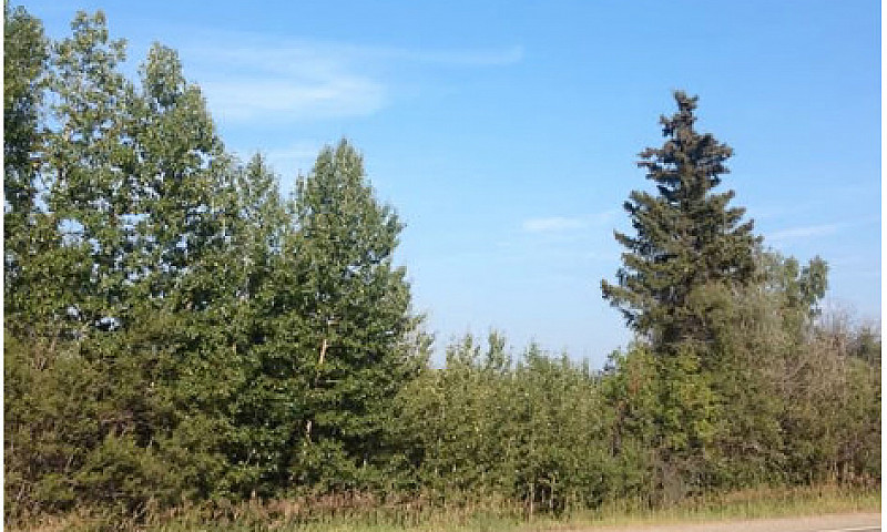 47.55 Acres Raw Land...