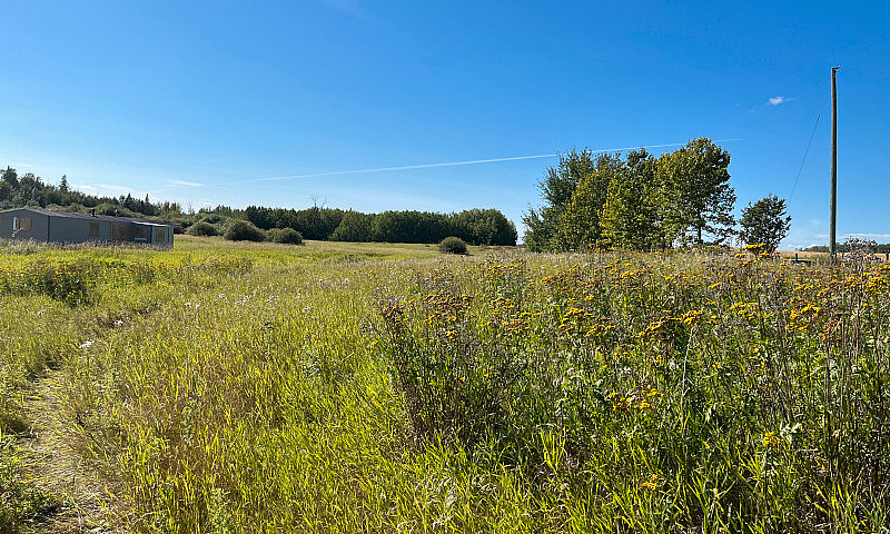 Land For Sale Albert...