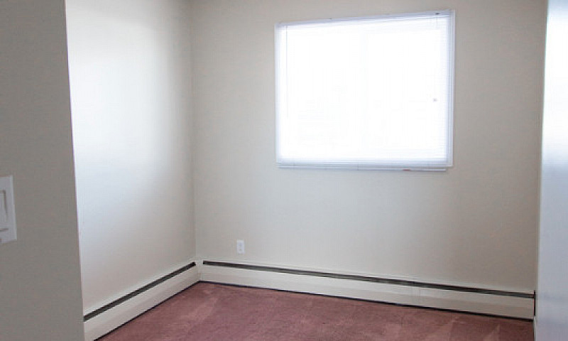 One Bedroom Apartmen...