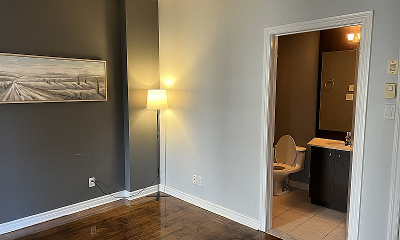 Newly Renovated Cond...
