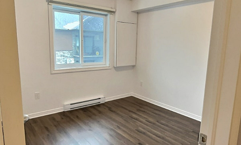Magnifique 2 Chambre...