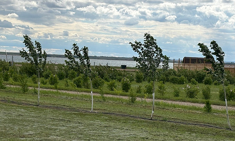 Lake Property For Sa...
