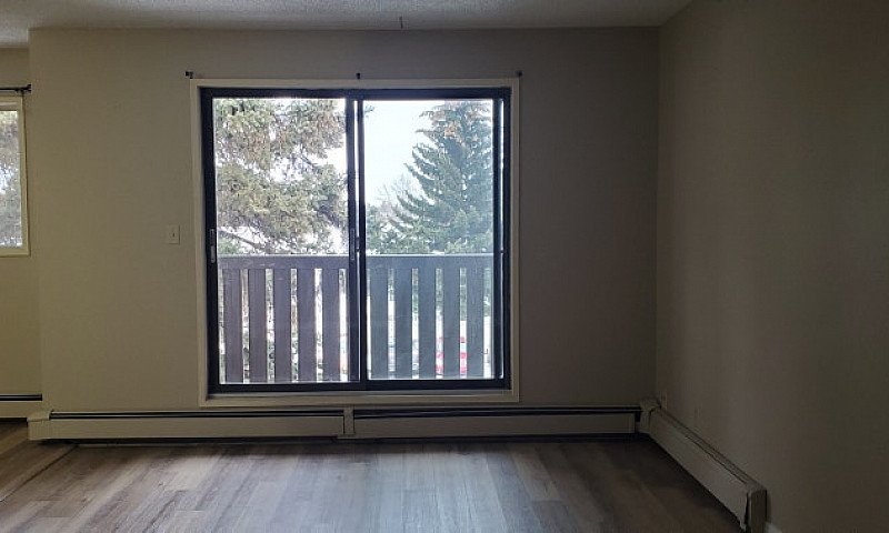 One Bedroom Apartmen...