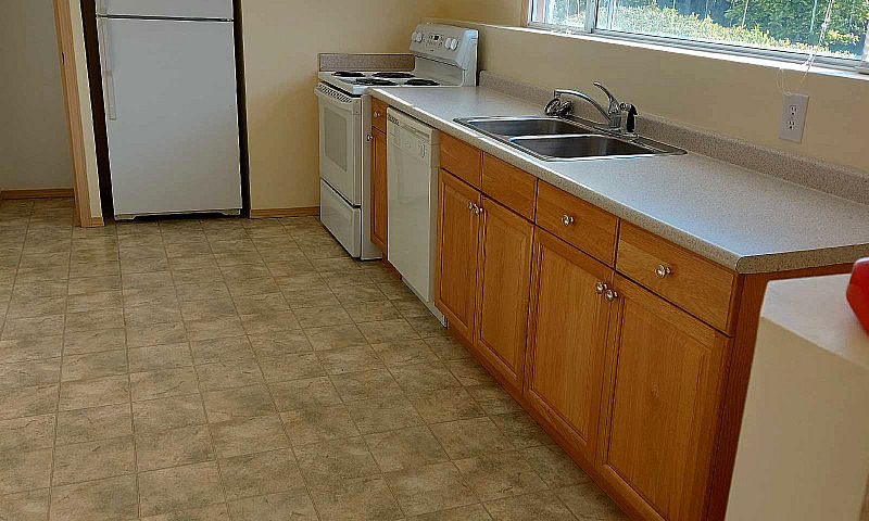 One Bedroom Basement...