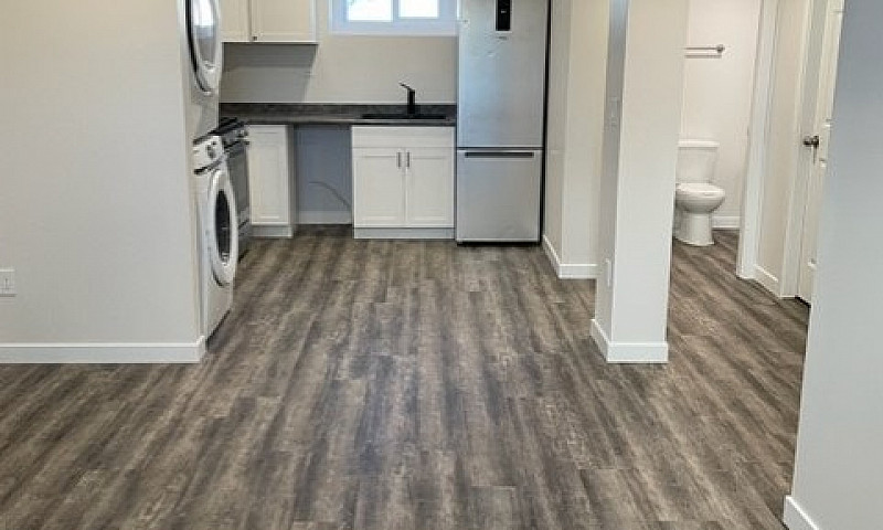 2 Bedroom Lower Suit...