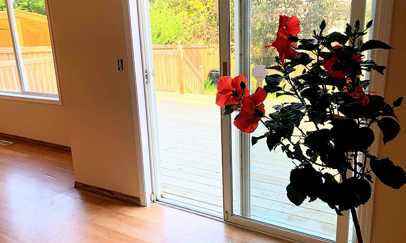 Bright, 3 Bedroom, 3...