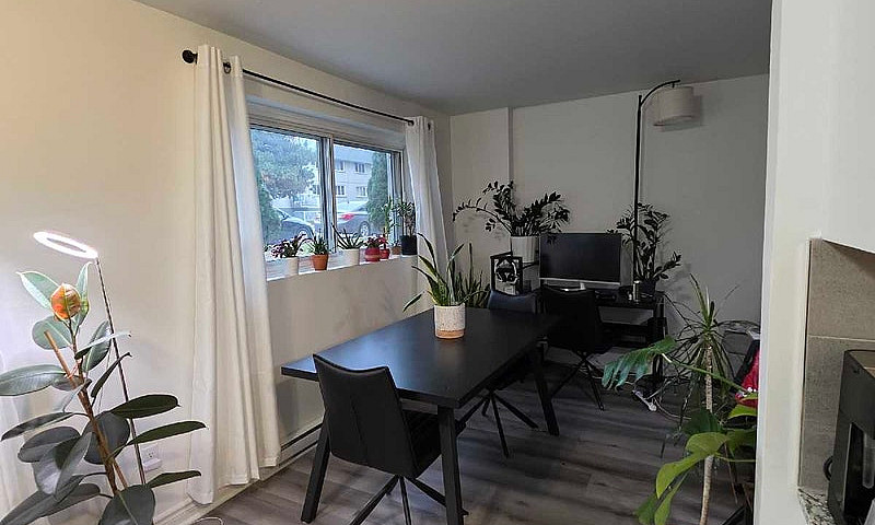 Superbe 3 ½ Moderne ...