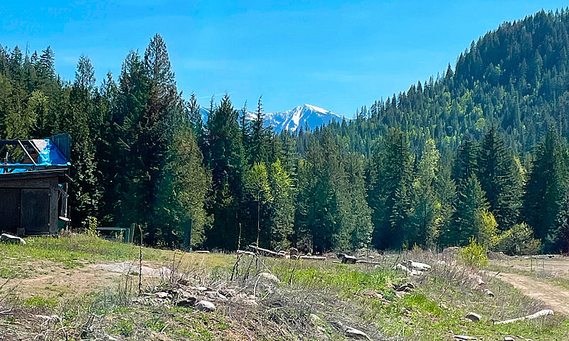 295 Secluded Acres B...