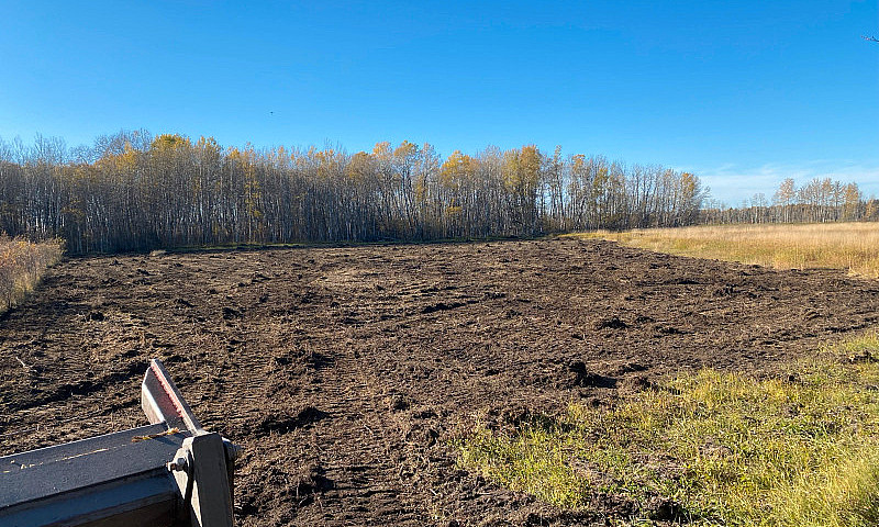 Land Forsale Near  T...
