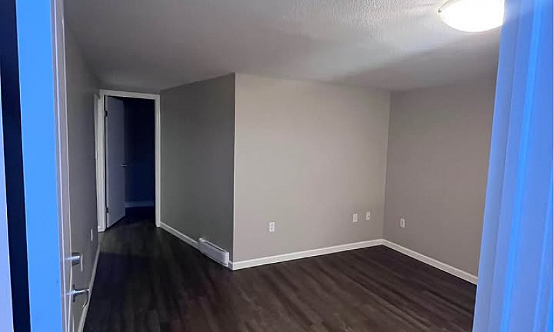 2 Bed, 1 Bath Baseme...