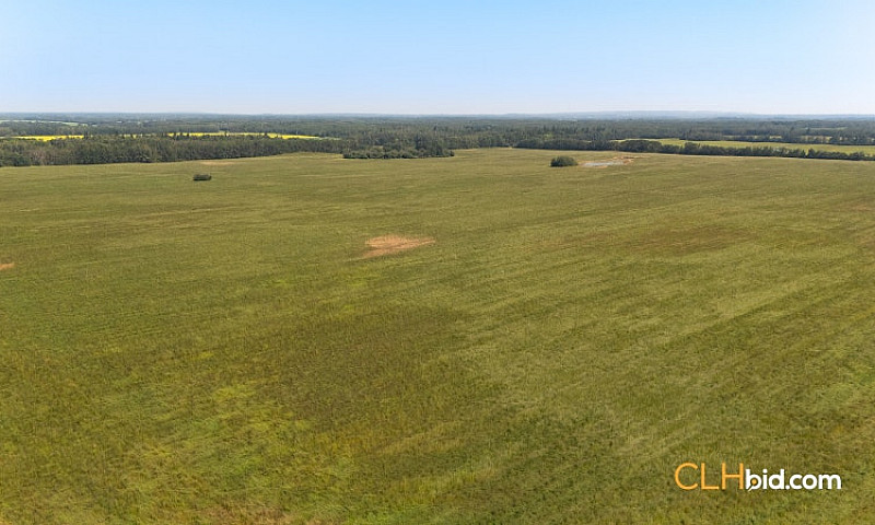 238 Acres Farm Land ...