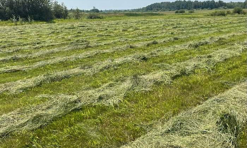 70 Acres For Sale In...