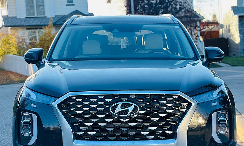 2021 Hyundai Palisad...
