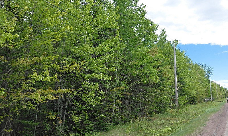 Land For Sale  Of +/...