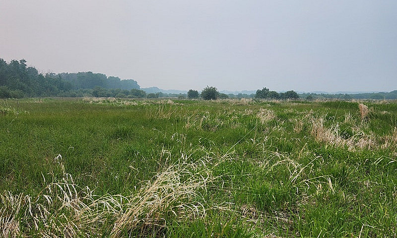 156 Acres For Sale...
