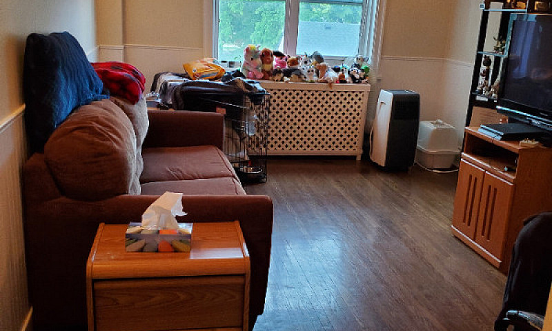 2 Bedroom 1 Bath Apa...