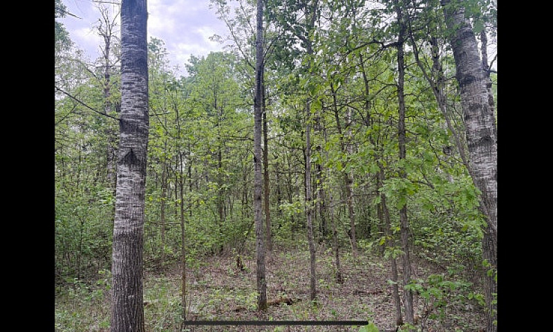 2 Acres 6 Miles East...
