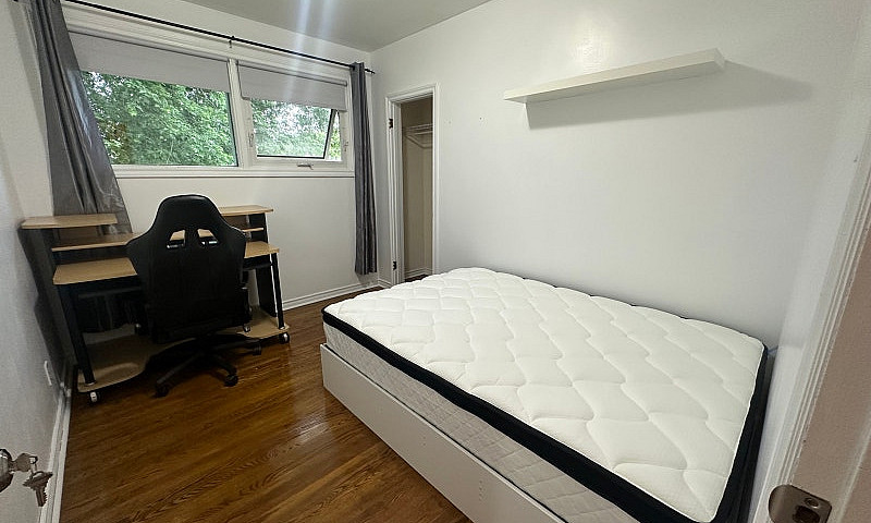 Room For Female...
