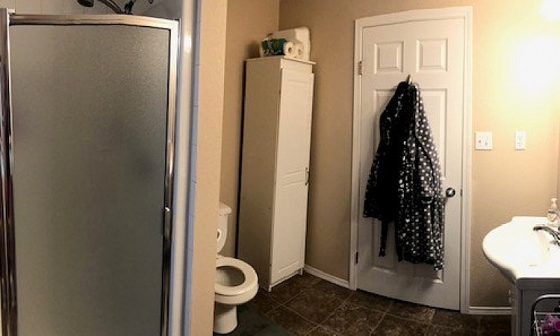 Pet Friendly, West, ...