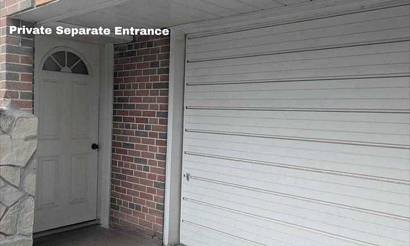 2-Bedroom Walkout Ba...