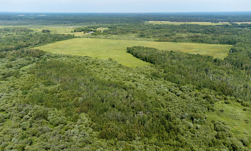 160 Acres Firefly La...