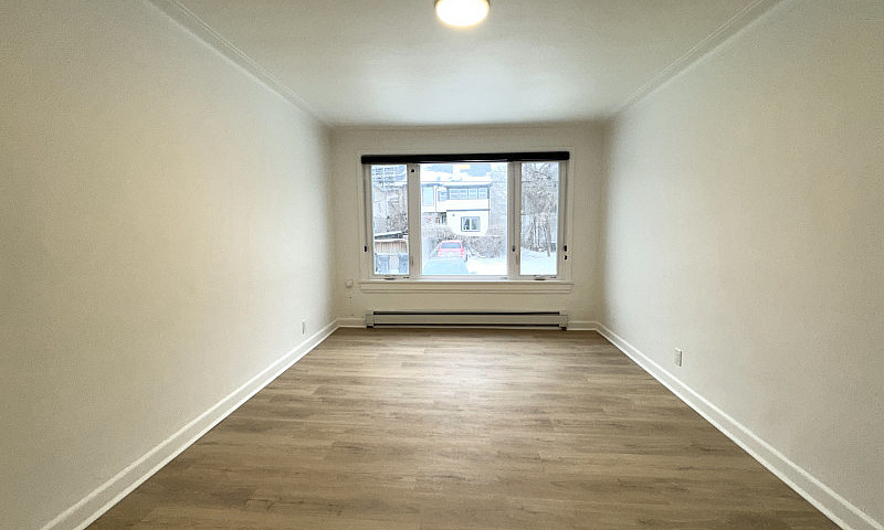1 Bed 1 Bath Suite C...