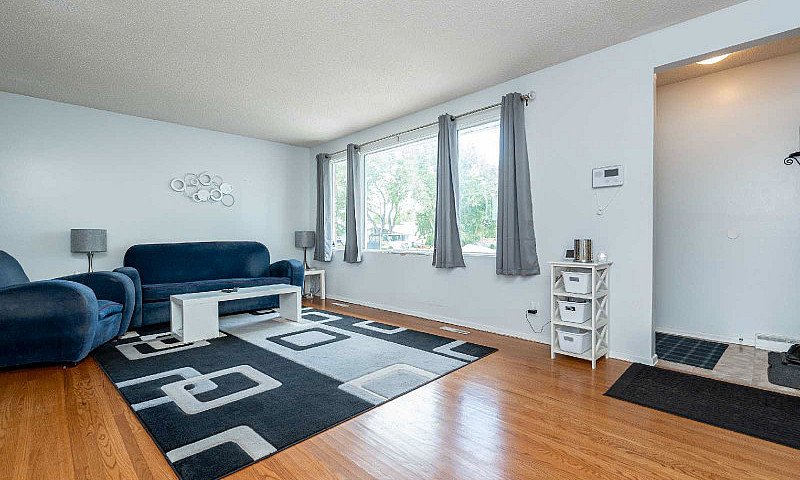 Spacious 4 ×1 Bdrm B...