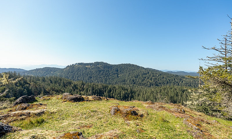 6.25 Acres - Build Y...