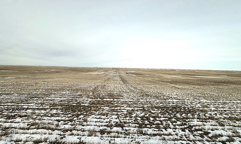 1,229 Acres For Sale...