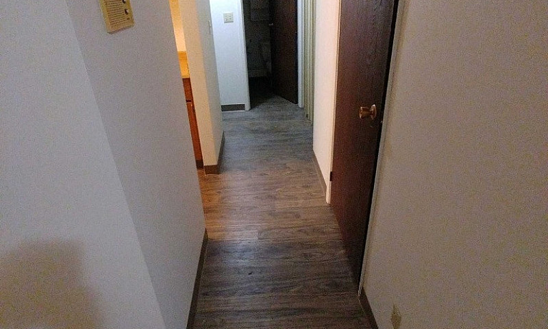 1 Bedroom Apartment ...