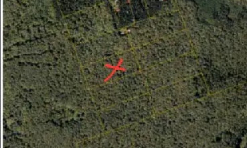 Woodlot For Sale...