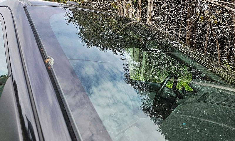 2013 Ford F150 With ...