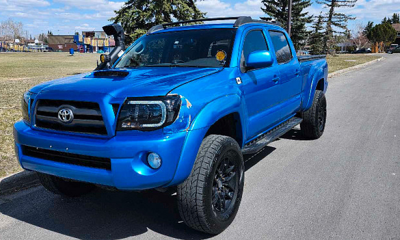 2010 Tacoma Trd Doub...