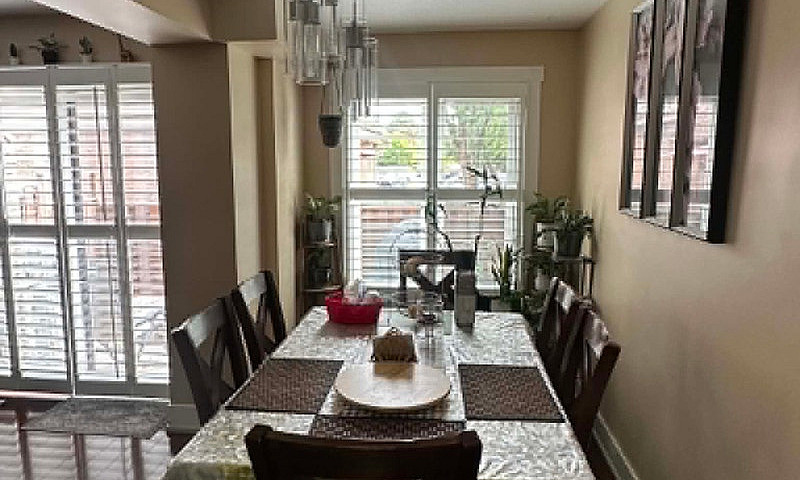 Female Furnish Room ...