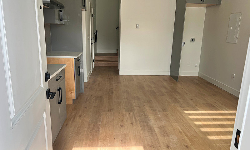 Basement Suite New W...