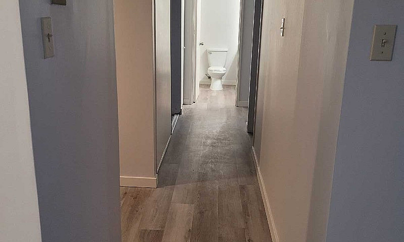 Apartment For Rent- ...