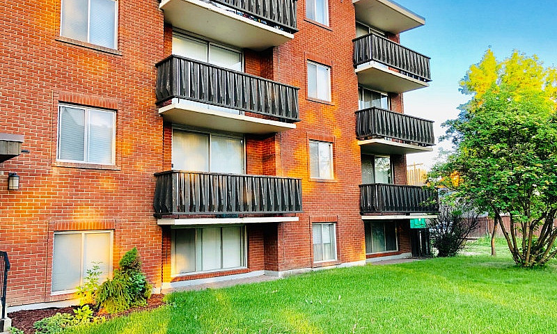Renovated 1 Bed Apar...