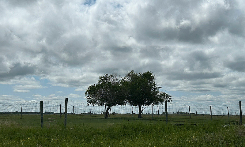 40 Acres For Sale...