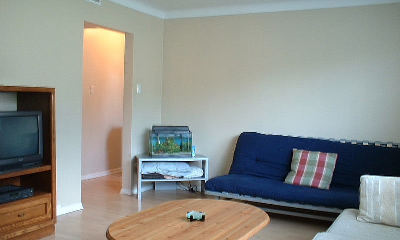 Free Huge Light Reno...