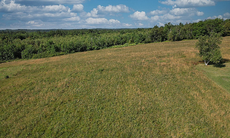 Cleared, Elevated Bu...