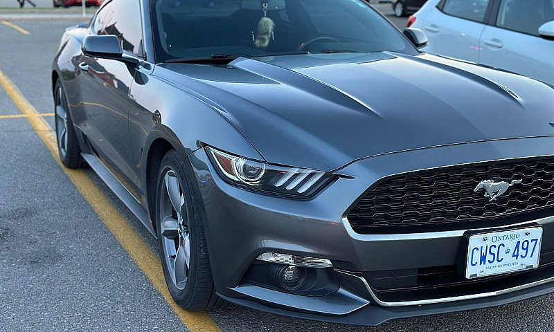 Ford Mustang ...