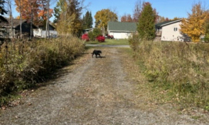 Lot For Sale!! 160 R...