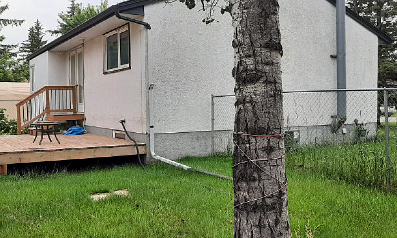 House For Rent...