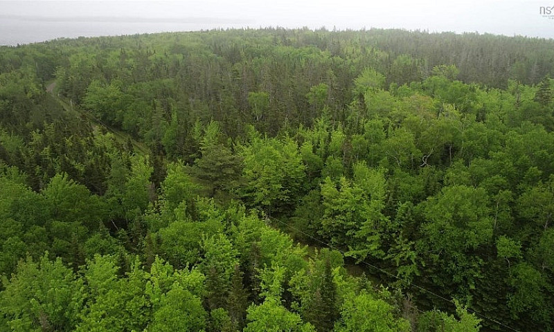 3 Acres With Deeded ...