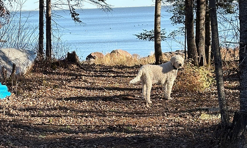 Lakefront Lot On Lak...