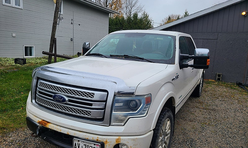 2014 Ford F150 Plati...
