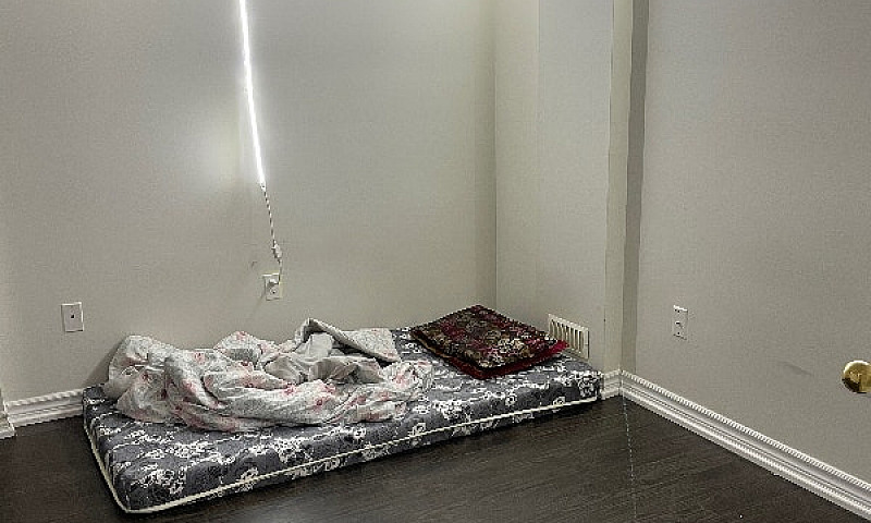 One Bedroom Basement...